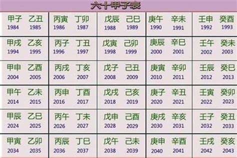 辛卯年五行|辛卯年是什么意思 辛卯年五行属什么